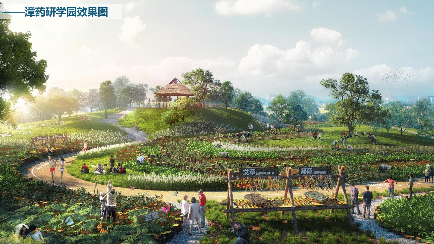 2024“药王谷”休闲康养农文旅项目定位规划设计概念方案 - 知乎