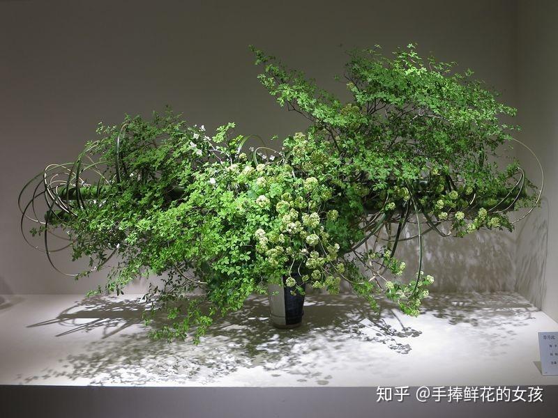 德信体育插花艺术相关笔记