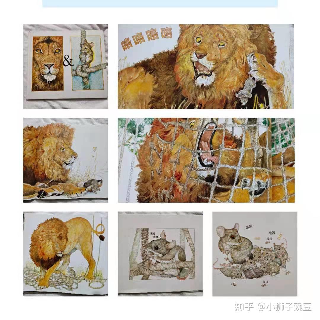 翻绘本《狮子和老鼠》-感恩是成功最快捷的方式 - 知乎