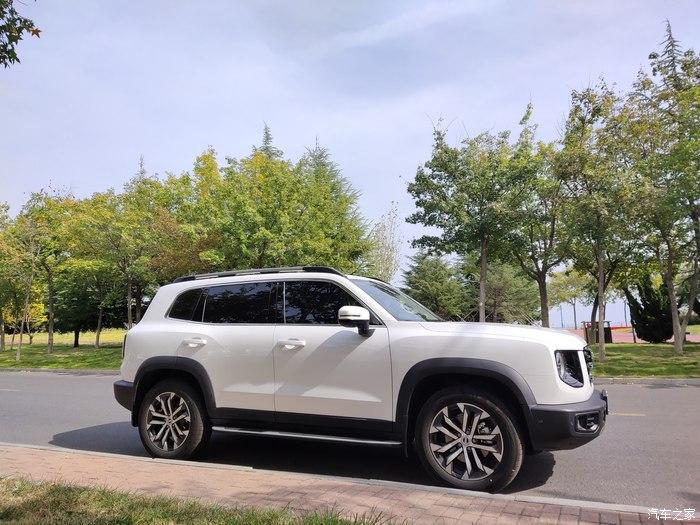 白色是干净哈弗大狗是霸气遇见你真好