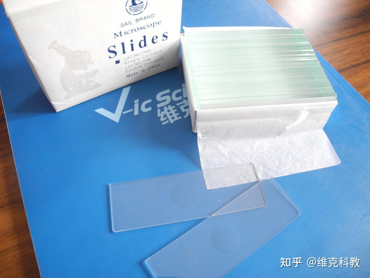 载玻片和盖玻片的区别 - 知乎