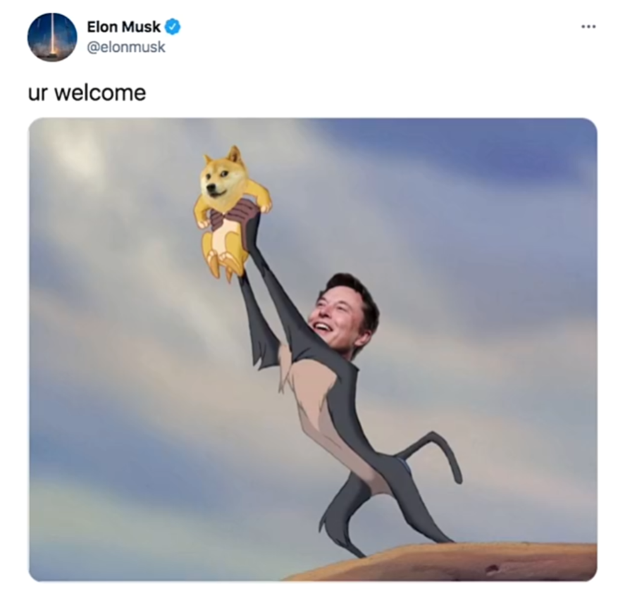 短短十天,马斯克是如何"攻下"twitter的?