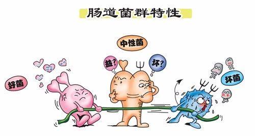 v2-c48db62bfe811f355ee8426b5447b7c3_1440w.jpg?source=172ae18b