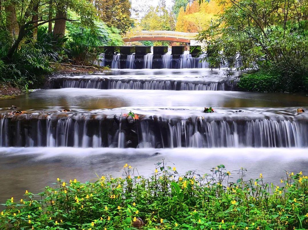 崇州这座漂浮的水上森林,张张是屏保! - 知乎