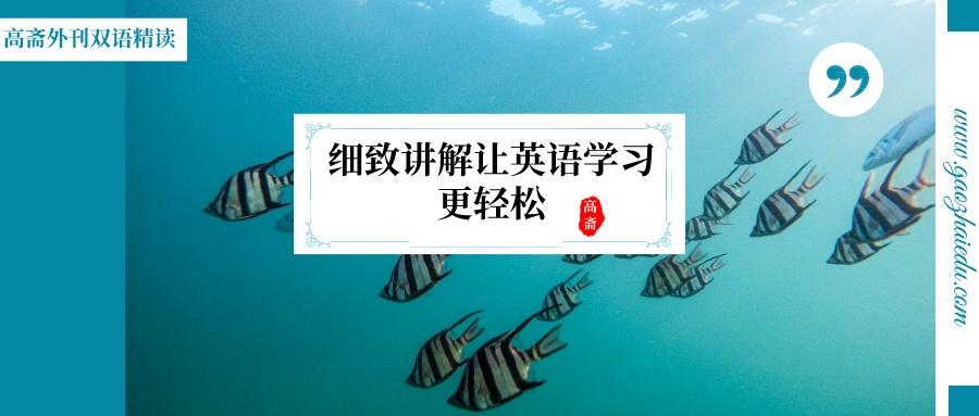 考研英语作文写作该如何复习和积累 知乎