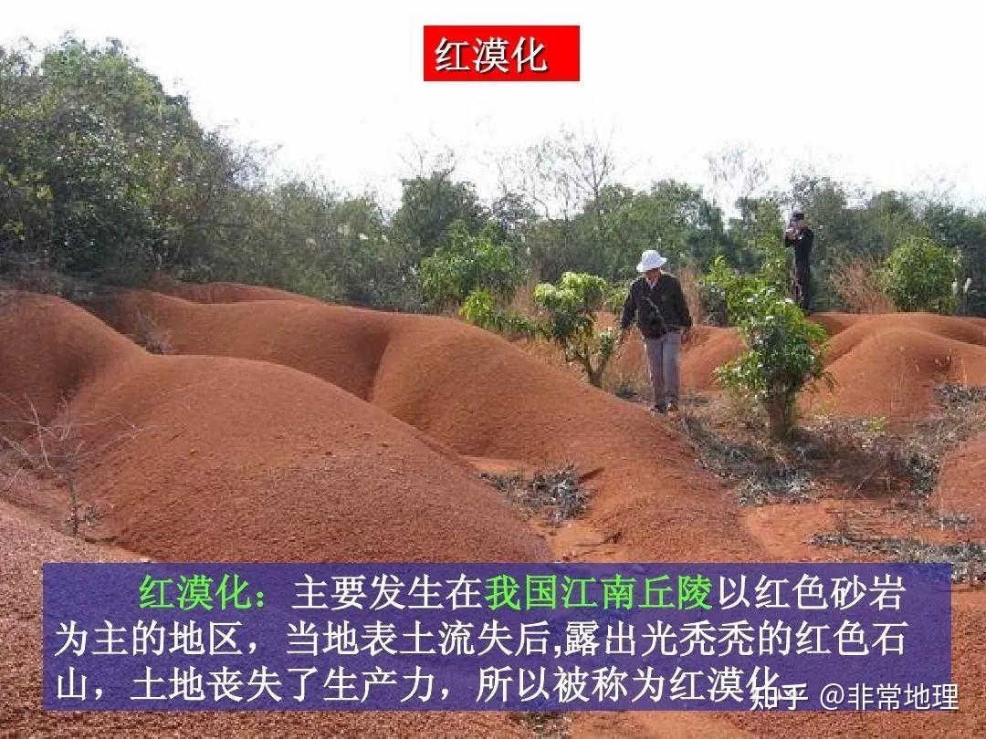 【地理】地理视角看黄土的分布与特性 知乎
