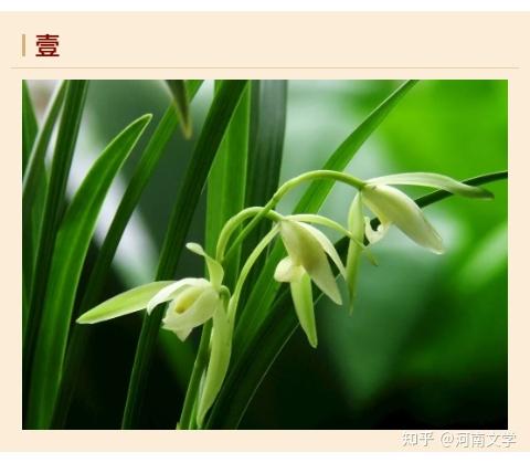 沈裕慎:秋色中的兰圃(散文) - 知乎