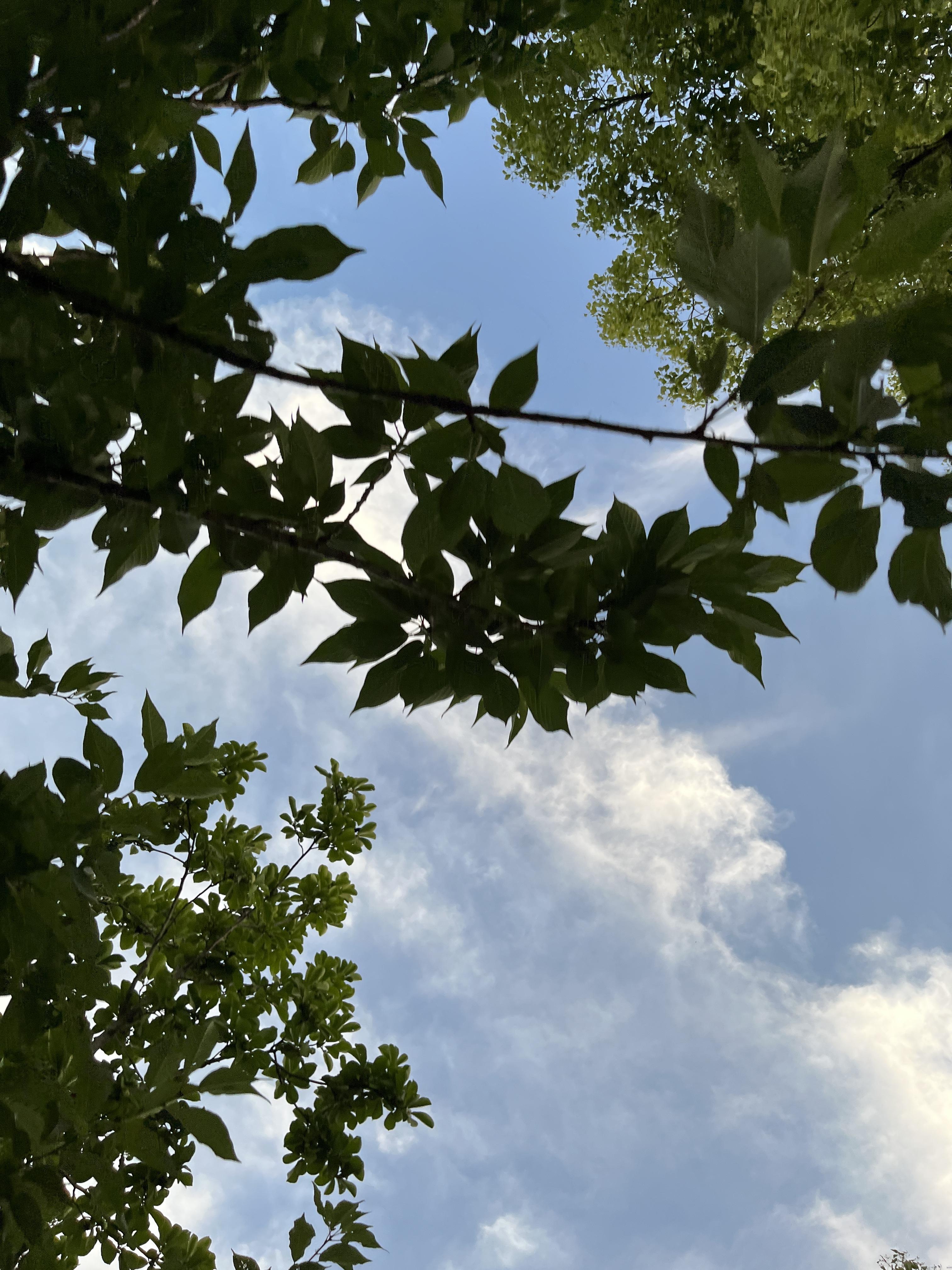 风景照真实风景图片图片