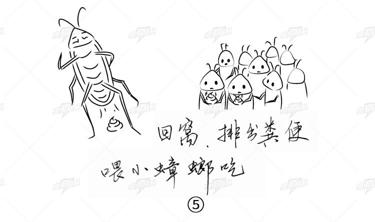 蟑螂胶饵的灭蟑原理
