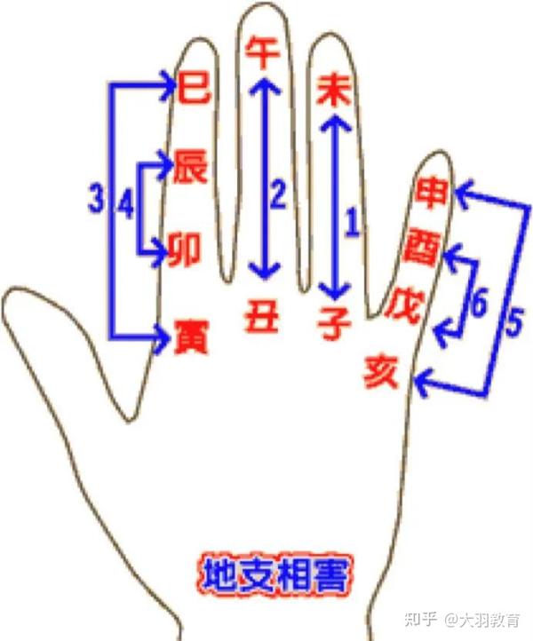 天干地支刑冲害化和手掌图 - 知乎