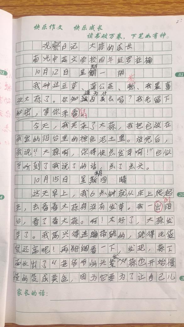 黎老师教小学作文 四年级作文· 《观察日记 大蒜的成长》 知乎