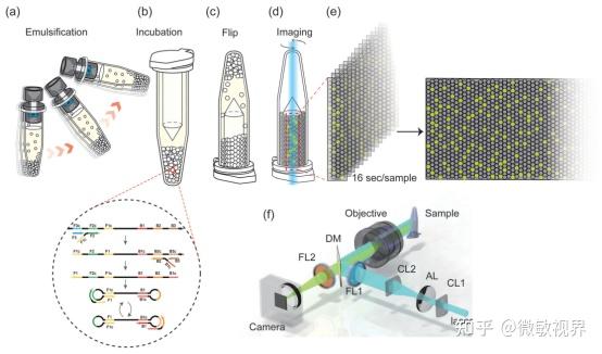 旋转扫描检测的ddPCR（微液滴数字PCR） - 知乎