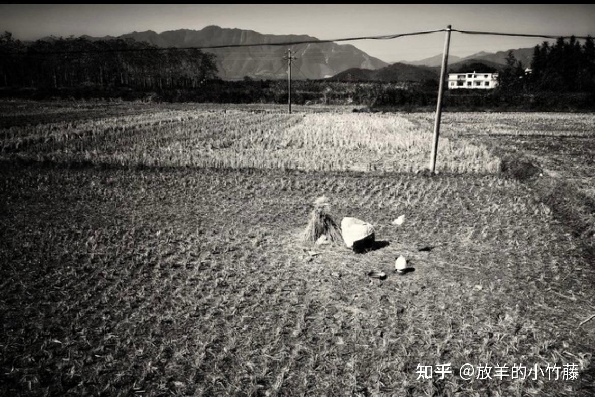 《平凡的世界》，充满艰辛又温情的人生 - 知乎