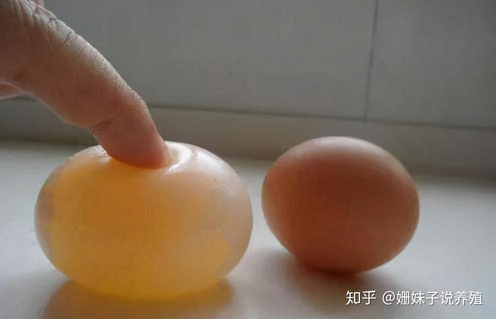 不要软蛋坏蛋有了活力多做个好蛋并不难