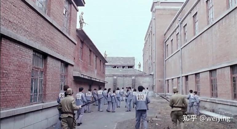 日军惨无人道,一个女马路大送进731部队最后的生命历程 - 知乎