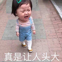 关于纯数方向国内高校读研,再申请国外 PhD?