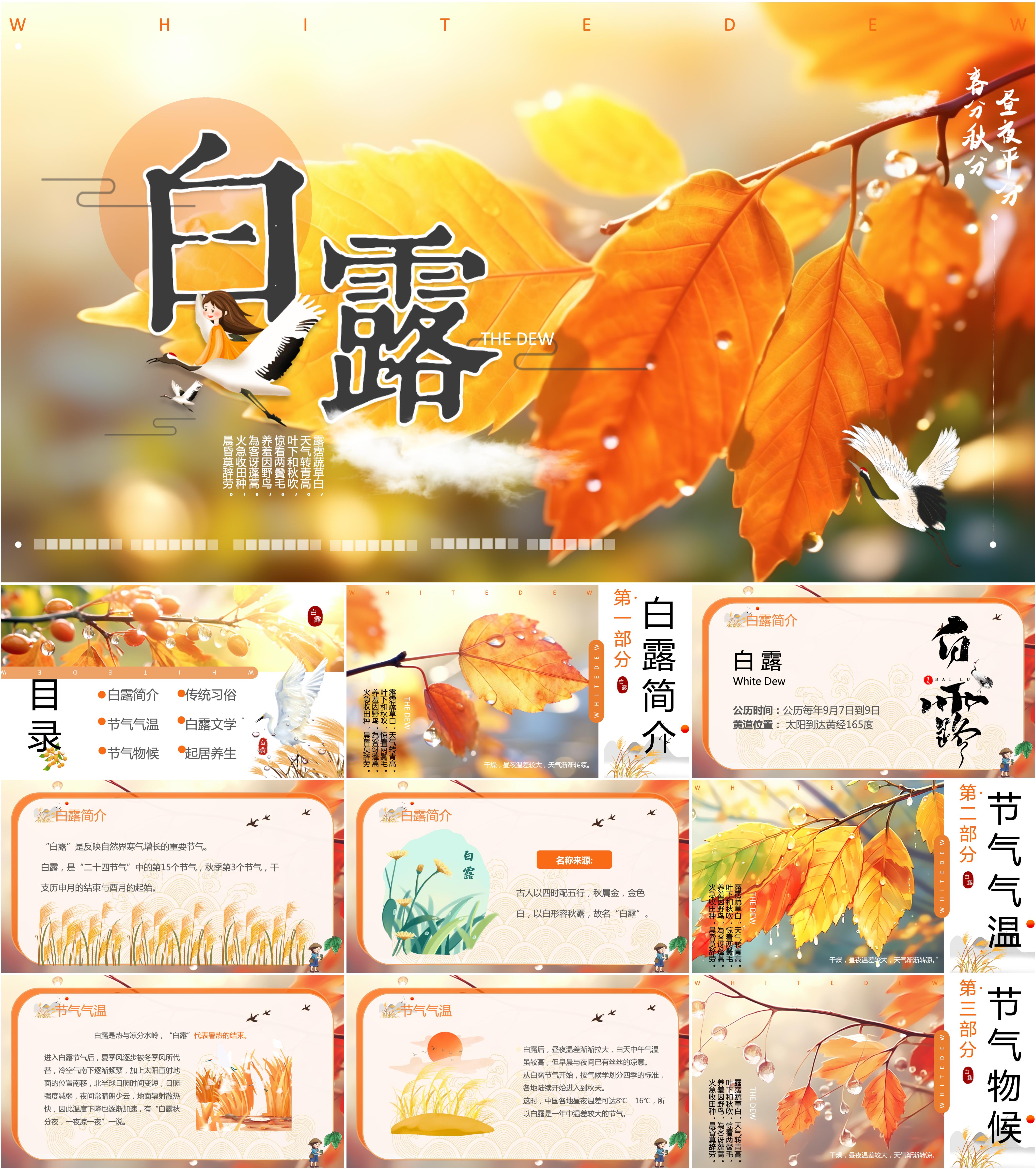 最新13套高质量白露节气ppt课件!