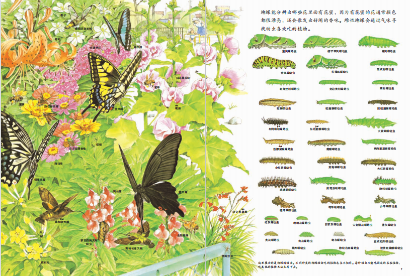 《路边的四季》这是问世33年被重版42次,让几代人都惊艳的自然绘本