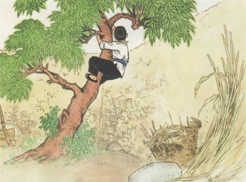 分享30幅彩色连环画《小英雄雨来》插画 - 知乎