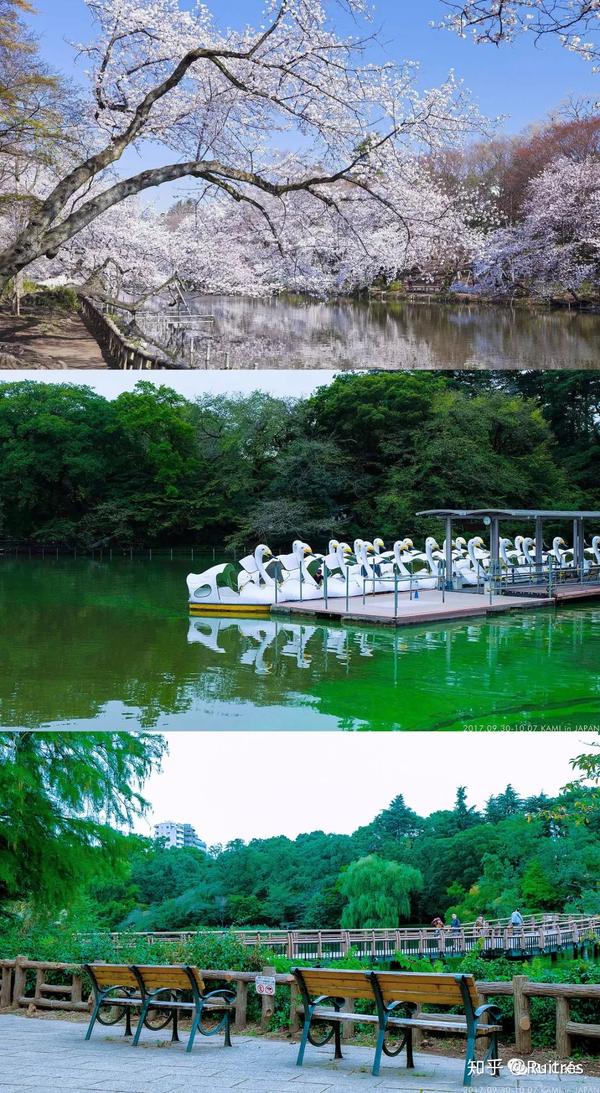 东京好去处逛逛吃吃生活社区 吉祥寺 自由之丘 知乎