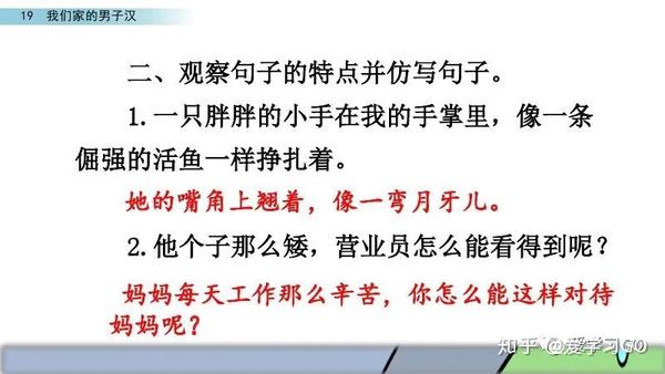 部编版四年级下册第19课《我们家的男子汉》图文讲解
