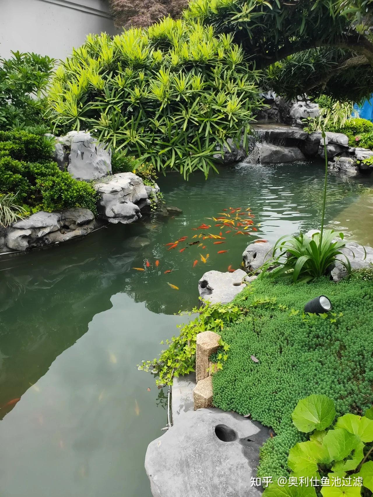 广州市东坦科技有限公司-海鲜鱼缸鱼池,饭店海鲜水池,厨房玻璃鱼缸