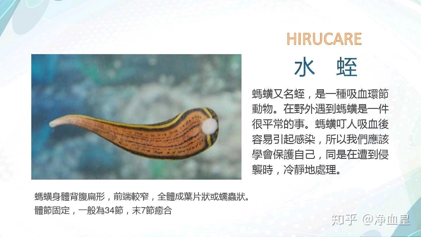 净血皇天然活性水蛭素