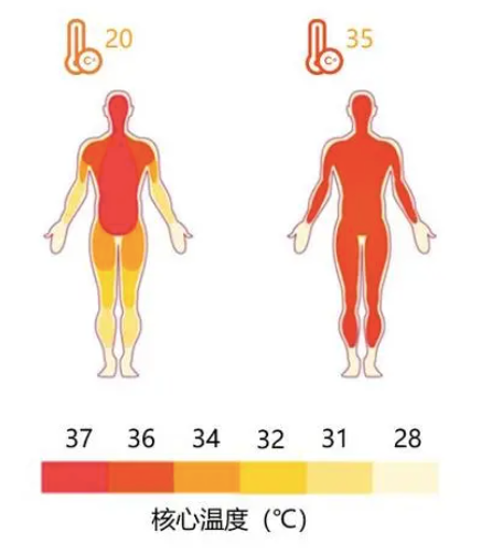 一些冻死的人，为什么会露出「死亡微笑」？ - 知乎