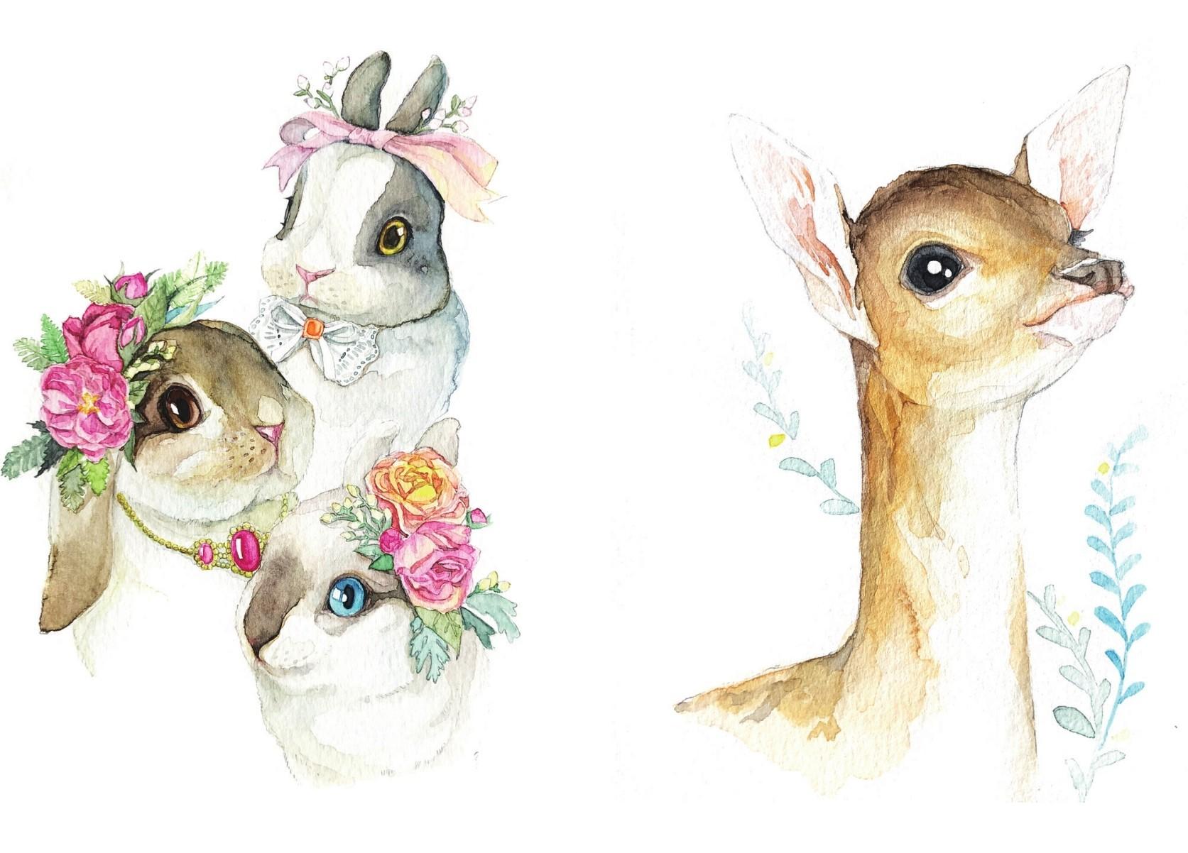 2.5 治愈系动物 - 森系水彩手绘插画教程:森林物语 - 知乎书店