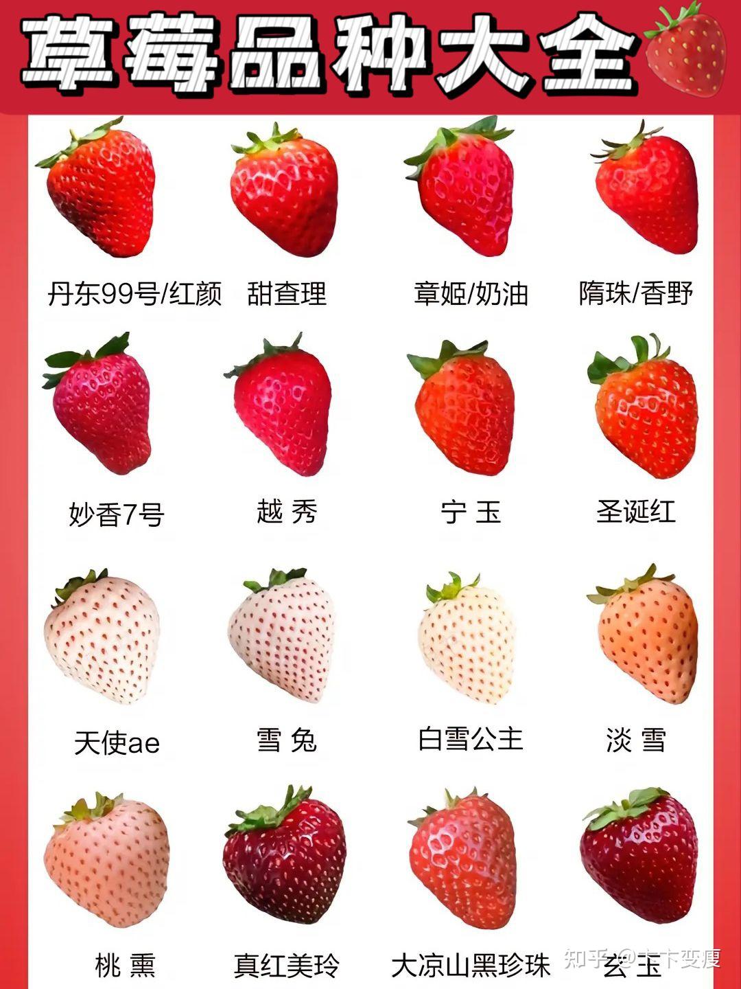 草莓帮你减肥还是害你 - 知乎