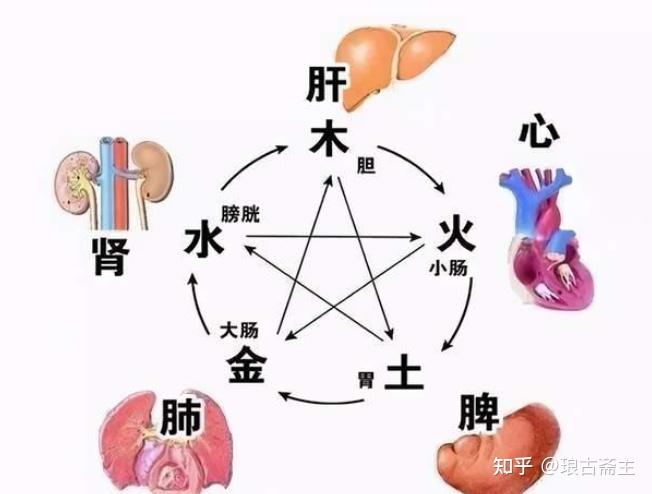中医如何养脾胃？ - 知乎