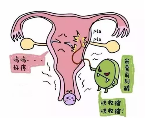 北京试管婴儿的费用医保能报销不