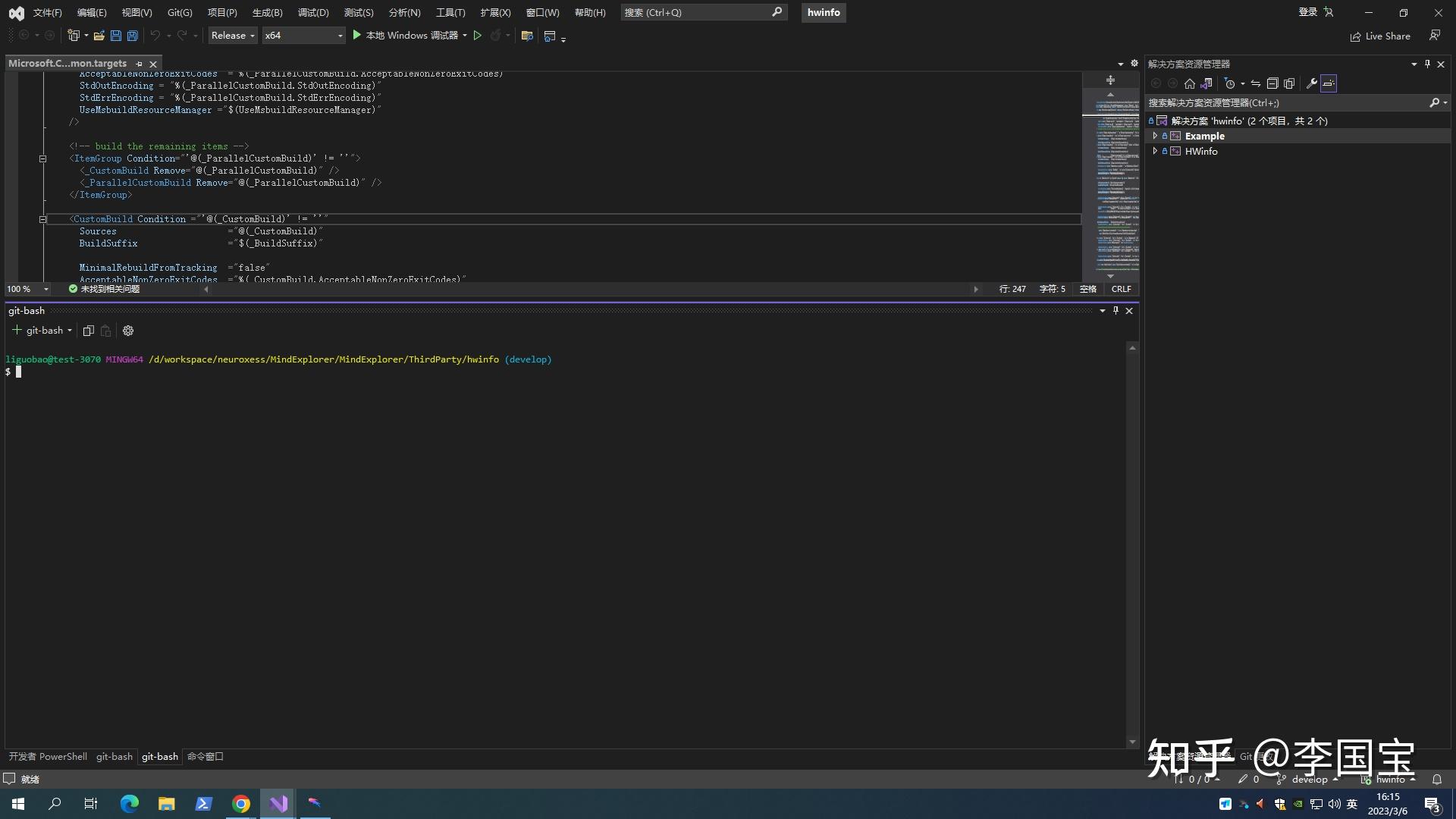 Visual studio git bash 