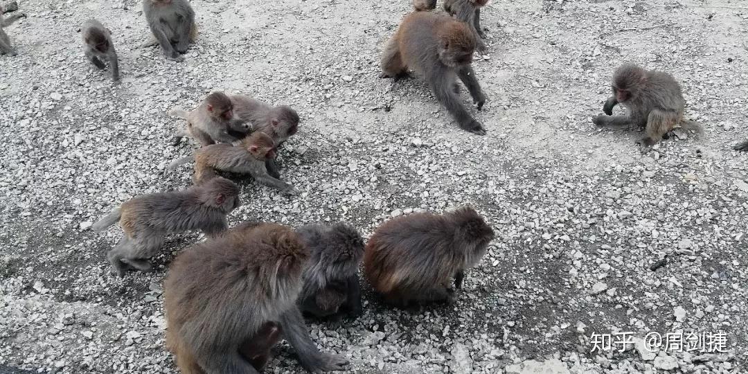 这样也行?(4200公里多少油钱)4200公里开车需要多久,(图72) 这样也行?(4200公里多少油钱)4200公里开车需要多久,(图72)