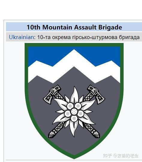 乌克兰军队的那些臂章patch