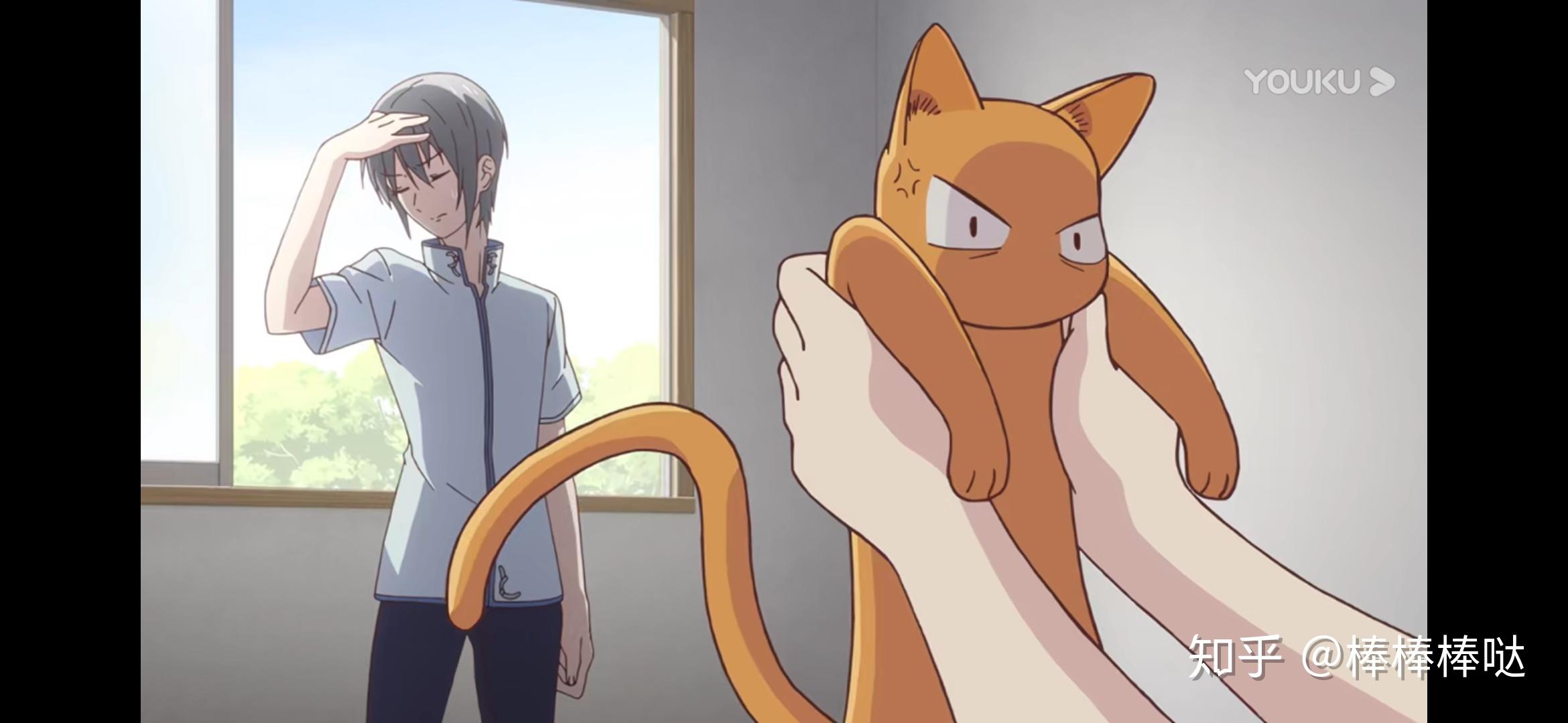 的小透:很率真  很坚强 超级乐观  可爱迷人安利:水果篮子2019lemon