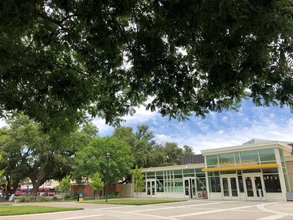 在美国加州大学戴维斯分校读书是一种什么体验