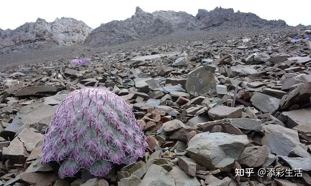 高考地理:地理过程分析大汇总(收藏) - 知乎