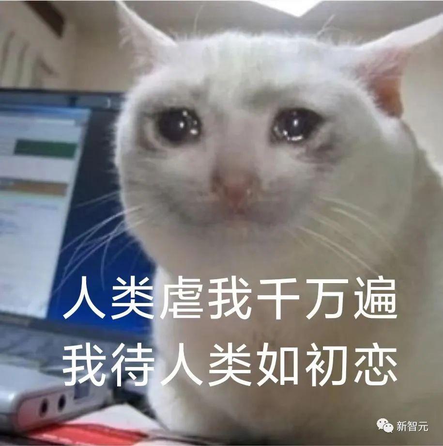 liability 뜻과 사용법 살펴보기 RedKiwi Words