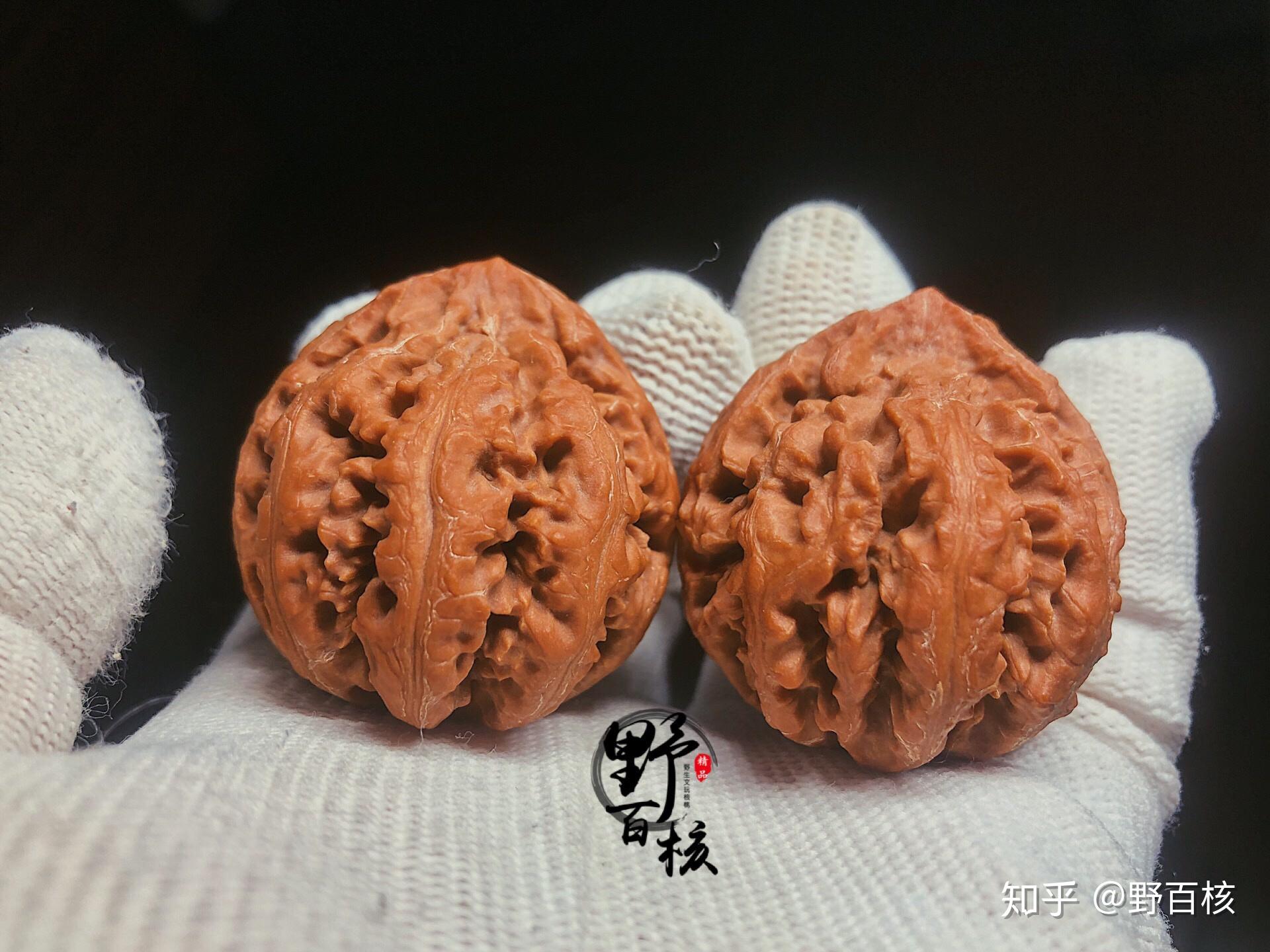 秦岭八棱灯笼 - 知乎
