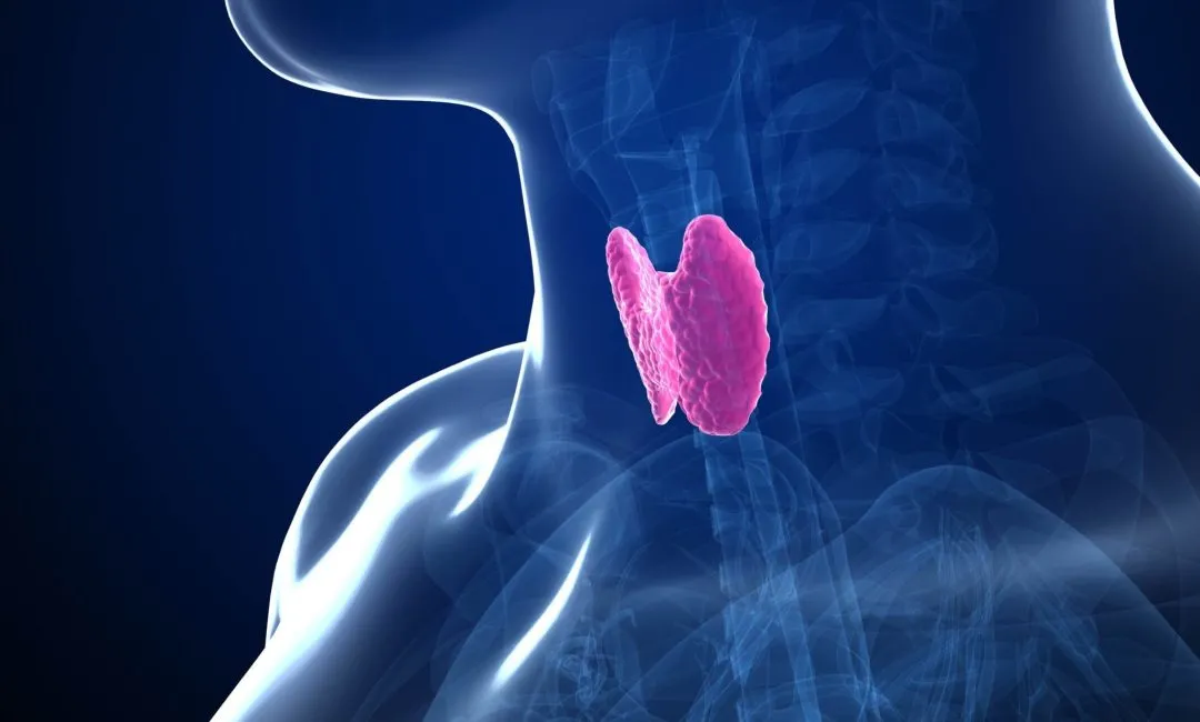 甲状腺引发身体蝴蝶效应保护甲状腺记准这几点