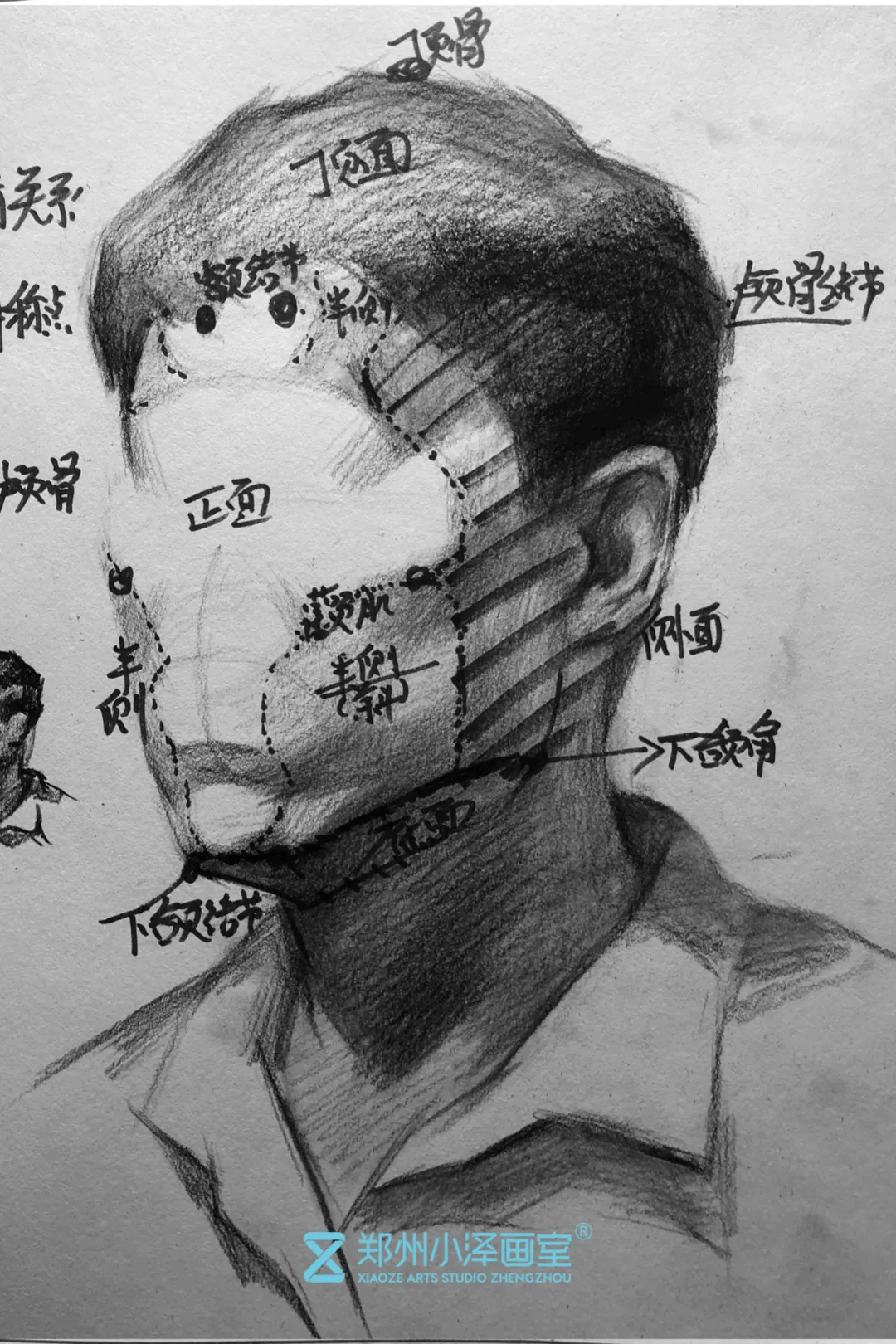 郑州小泽画室学员10天素描头像蜕变过程及方法