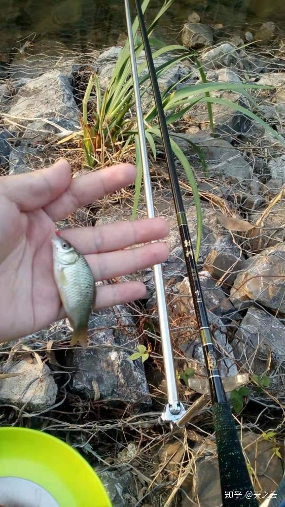 拉大餌做釣,能拉多大拉多大給魚竿來個特寫,此魚竿唯一不是很好的就是