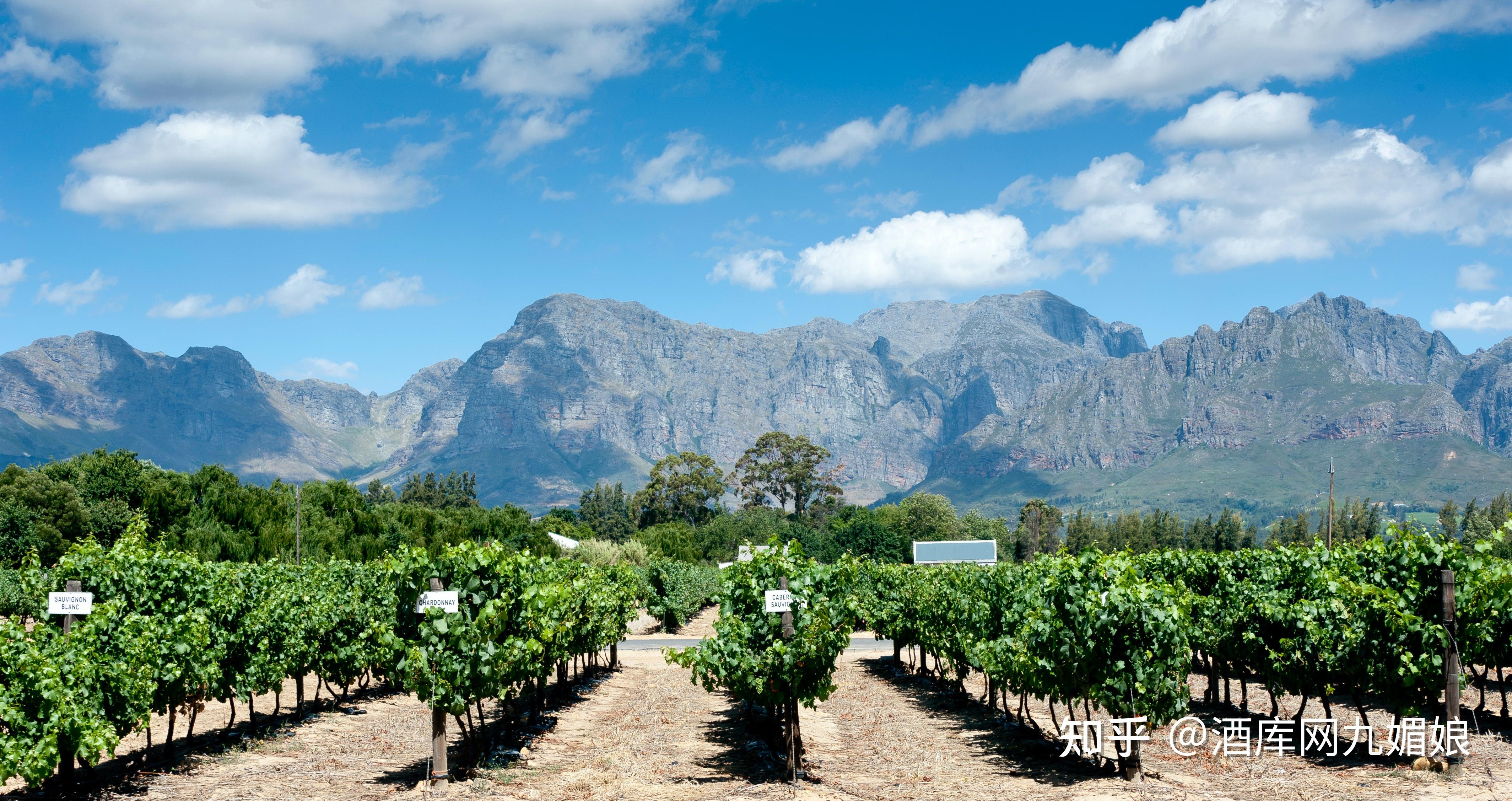 中央山谷(central valley)是智利最大的葡萄酒产区,智利出口的葡萄酒