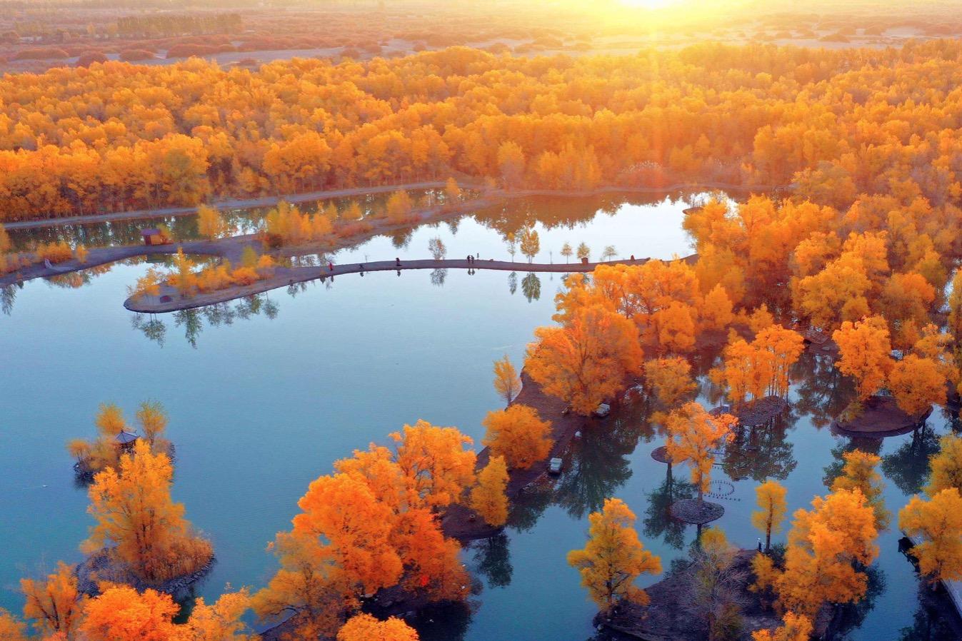 酒泉金塔胡杨林景区迎来一年中最美的时刻是秋季,大片的胡杨呈现出