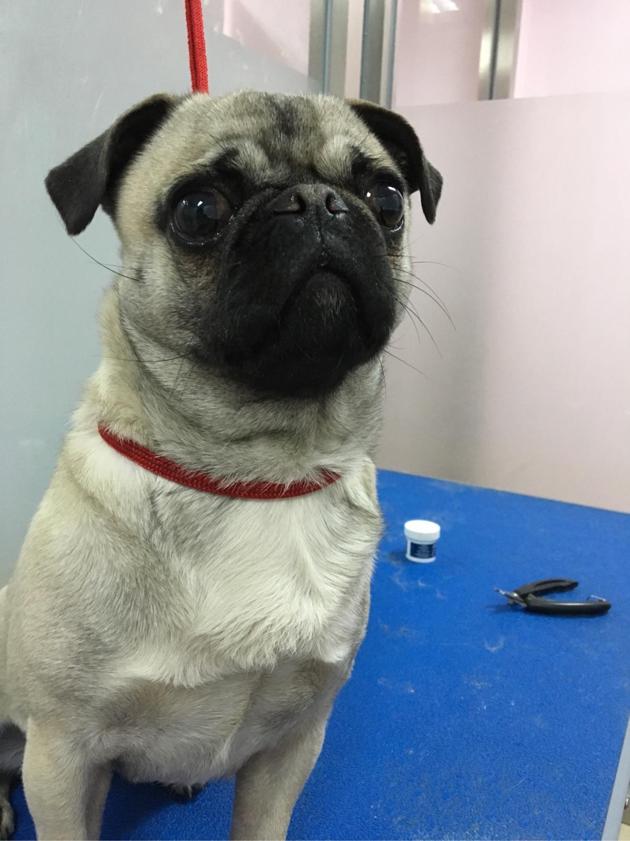 第一次在知乎上提问,希望大家帮帮我,谢谢 ? -