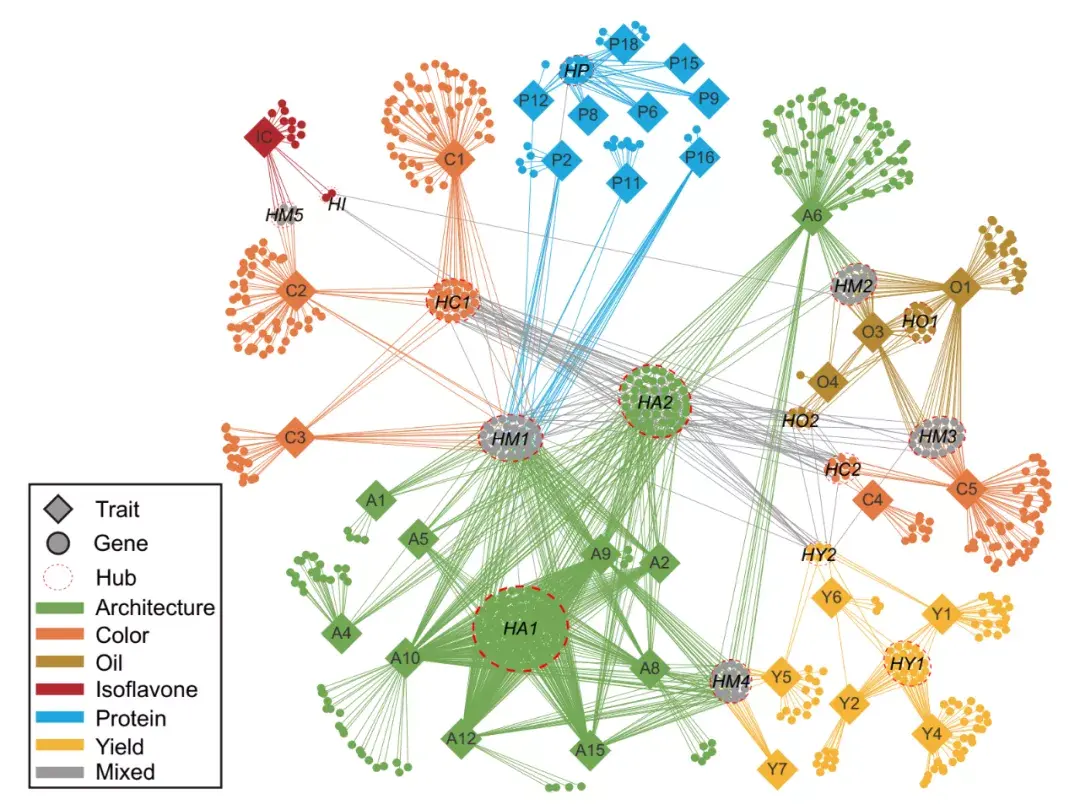 gpb | 250份大豆种质材料全基因组重测序,构建性状耦合的遗传关联网络