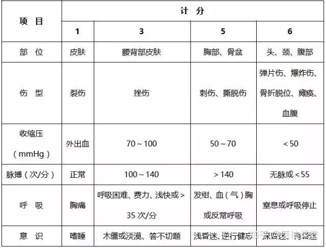 iss创伤评分表图片