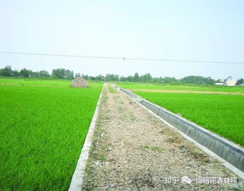 我国有多少亩耕地 v2-c668f3f88658219ed5dee1704c10b752_r.jpg