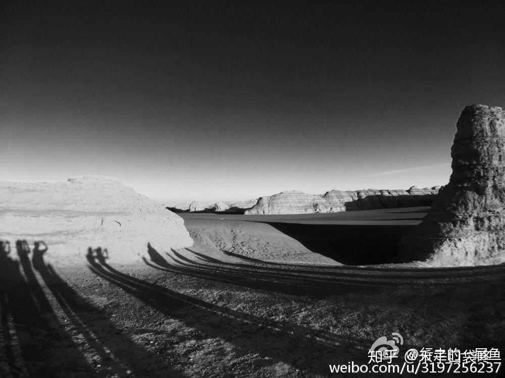 如何评价尾鱼的小说?